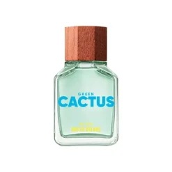 Hot BENETTON Dreams Green Cactus
