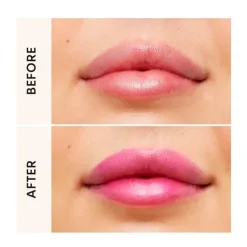 Best E.L Lip Stain Gloss De Labios