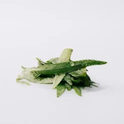 Estuche Esencia Estuches Hombre