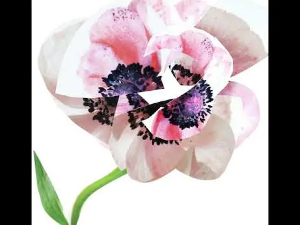 Online Estuche Narciso For Her Estuches Mujer