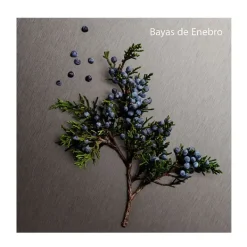 Hot Eternity Aromatic Essence Perfumes