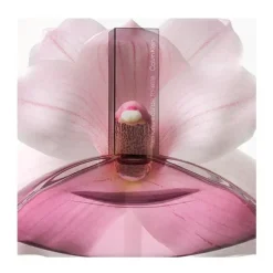 Discount CALVIN KLEIN Euphoria