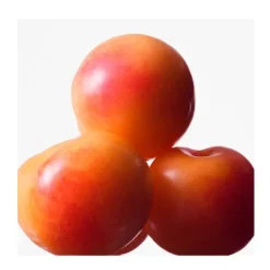 Discount CALVIN KLEIN Euphoria