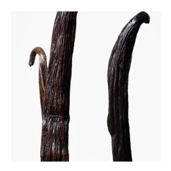 Discount CALVIN KLEIN Euphoria