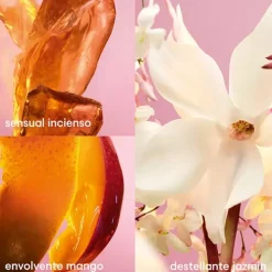 Fame Body Lotion*RABANNE Clearance