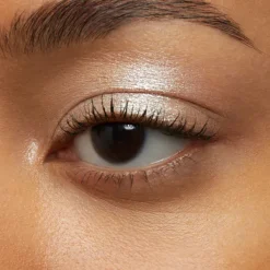 Freedom System Eyeshadow Twinkle*INGLOT Best