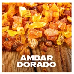 Gold Temptation*AXE Hot