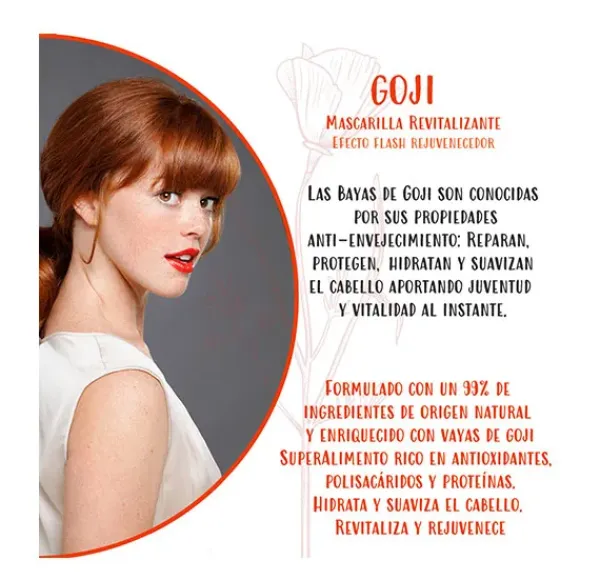 New NATURTINT Hair Food Goji