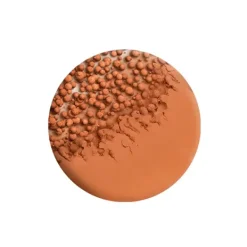 Healthy Mix Glow Tint*BOURJOIS New