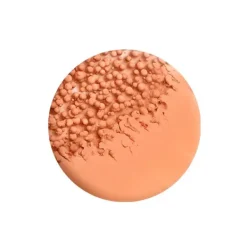 Healthy Mix Glow Tint*BOURJOIS New