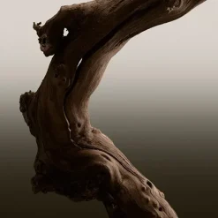 Hero Parfum*BURBERRY Clearance