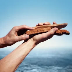 Clearance Homme Eau De Toilette Intense Perfumes