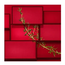 New Hugo Intense Perfumes