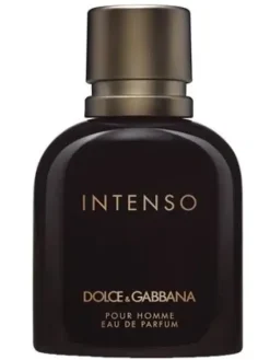 Intenso Pour Homme Perfumes