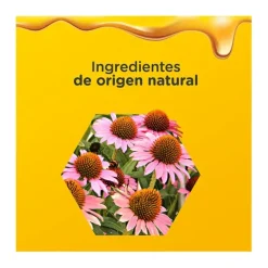 Best Jarabe Adultos Extra Inmunidad Complementos Alimenticios