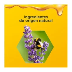 Online ZARBEES Jarabe Noche Adultos Extra Inmunidad