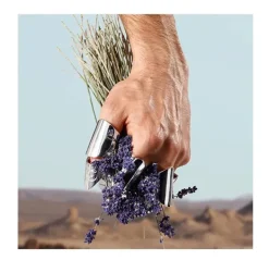 Hot K By D&G Eau De Toilette Perfumes