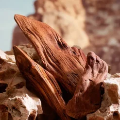 K By D&G Parfum*DOLCE & GABBANA Hot