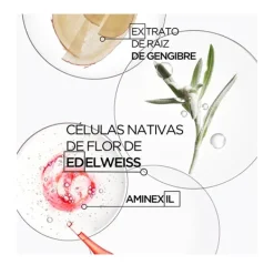 K Genesis Bain Nutri-Fortifiant*KERASTASE New