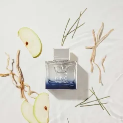 New ANTONIO BANDERAS King Of Seduction