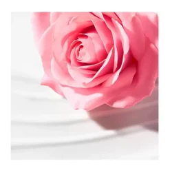 Leche Desmaquillante Cremosa*NUXE Sale