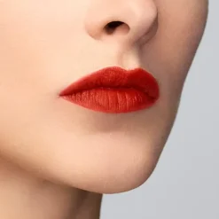 Lip Maestro*ARMANI Outlet