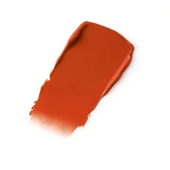 Lip Maestro Satin*ARMANI Best