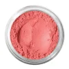 Clearance Loose Powder Blush Polvos De Maquillaje