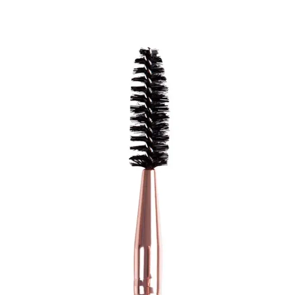 Online Makeup Brush Cejas