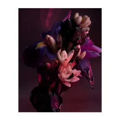 Man In Black Parfum Perfumes