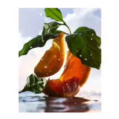 Man Rain Essence*BVLGARI