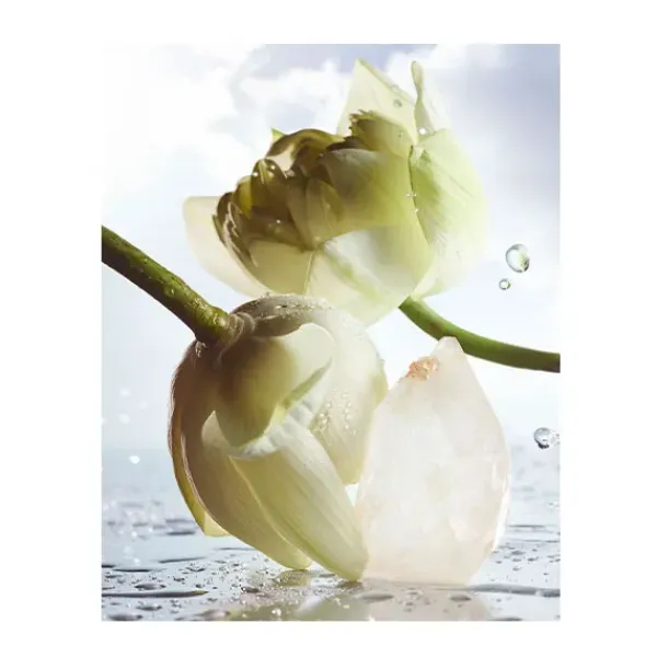 Man Rain Essence*BVLGARI