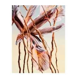 Man Terrae Essence*BVLGARI Hot