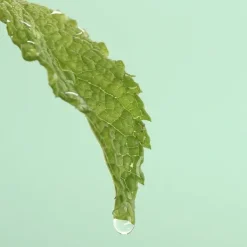 Clearance Masque Cataplasme Anti-Imperfeccions Rostro