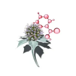 Multi-Activa Jour*CLARINS New