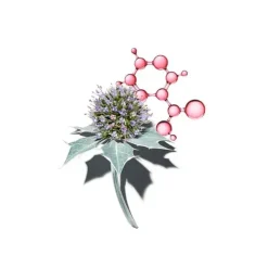 Multi-Activa Jour Spf-15*CLARINS Discount