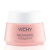Best VICHY Neovadiol Rose Platinum