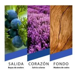 Hot PRET A PORTER New York