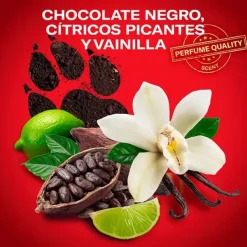 OLD SPICE Night Panther