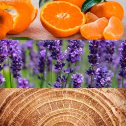 CALVIN KLEIN Obsession