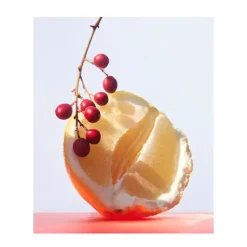 Outlet BVLGARI Omnia Coral