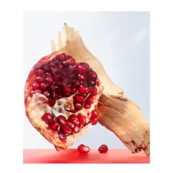 Outlet BVLGARI Omnia Coral