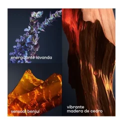 Sale One Million Royal Perfumes