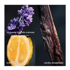 Best RABANNE Phantom Refill