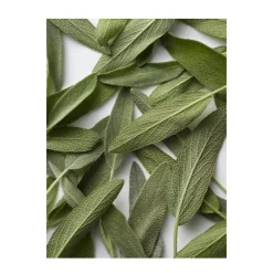 Hot Polo Blue Perfumes