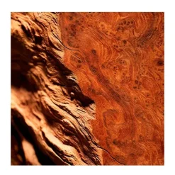 Polo Red Eau De Toilette*RALPH LAUREN Hot