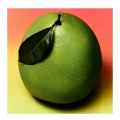 Discount Pomelo Man Perfumes