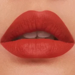 Pure Color Mate*ESTEE LAUDER Clearance