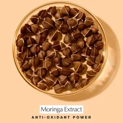 Revitalizing Supreme+ Night*ESTEE LAUDER Hot