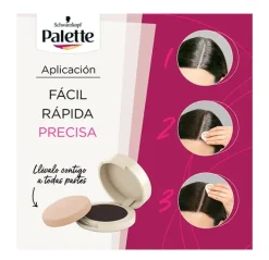 Outlet PALETTE Root Retouch